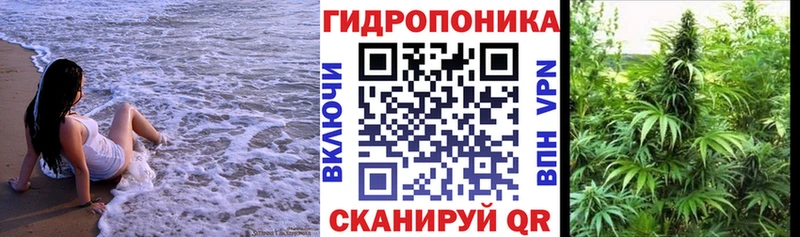 Как найти наркотики Энем Каннабис  omg ссылка  СОЛЬ  Гашиш  МЕФ 