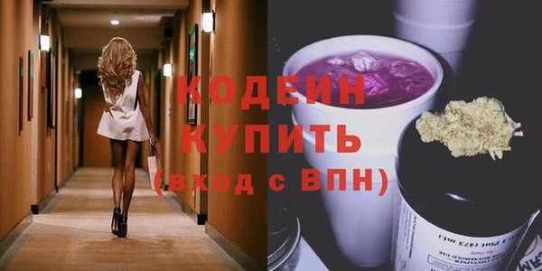 хмурый Михайловск