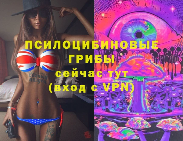 хмурый Михайловск