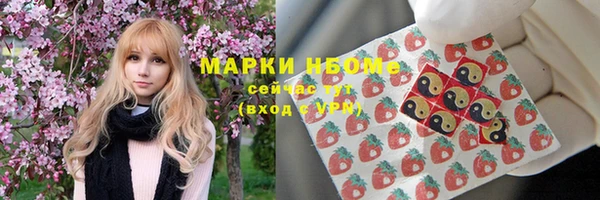 соль ск Надым
