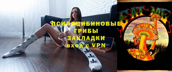 соль ск Надым