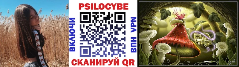 Псилоцибиновые грибы Psilocybine cubensis  Энем 